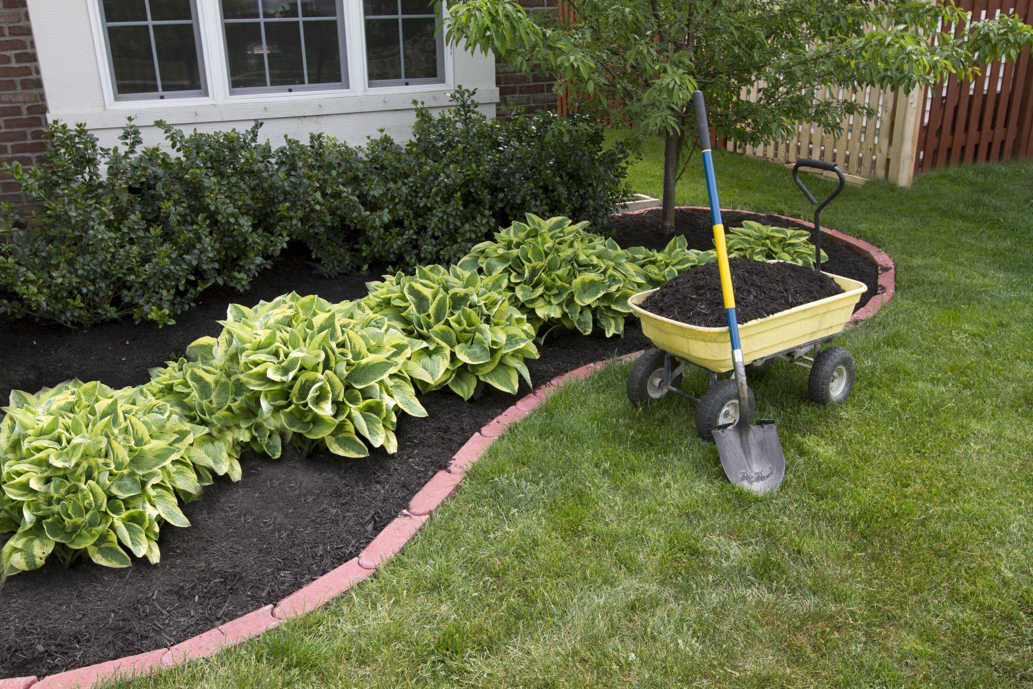 Dark Mulch in Leander Garden