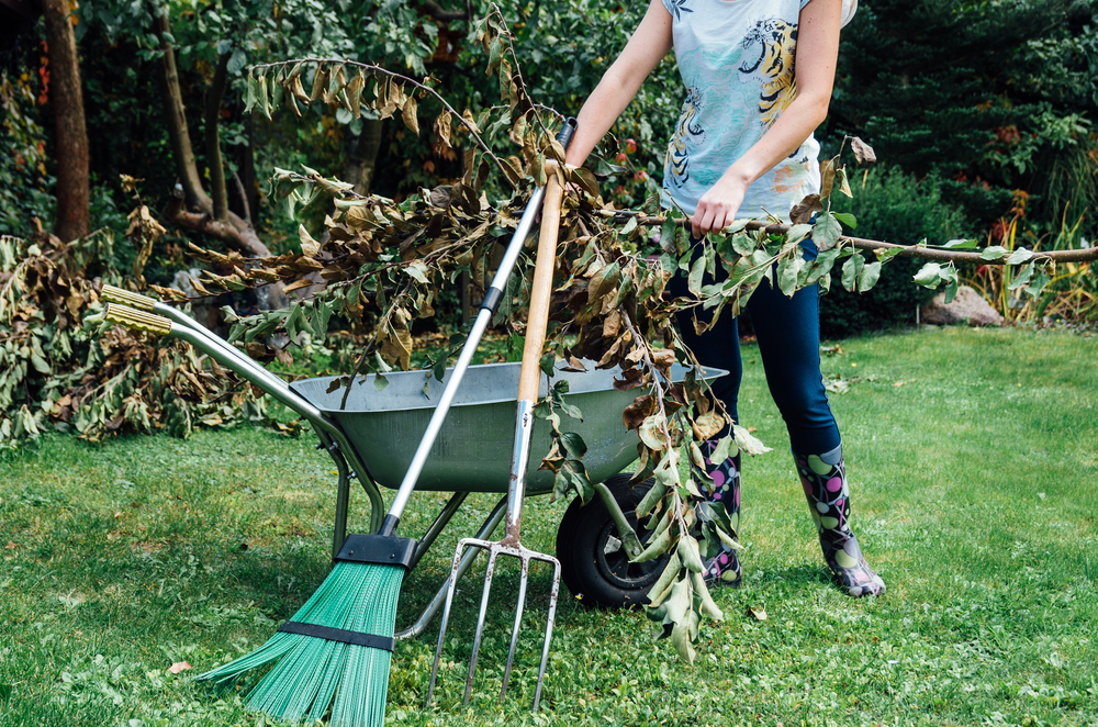 Southern Love provides Spring cleanup, seasonal cleanup, leaf cleanup, garden cleanup for your West Lake Hills, Round Rock, TX.