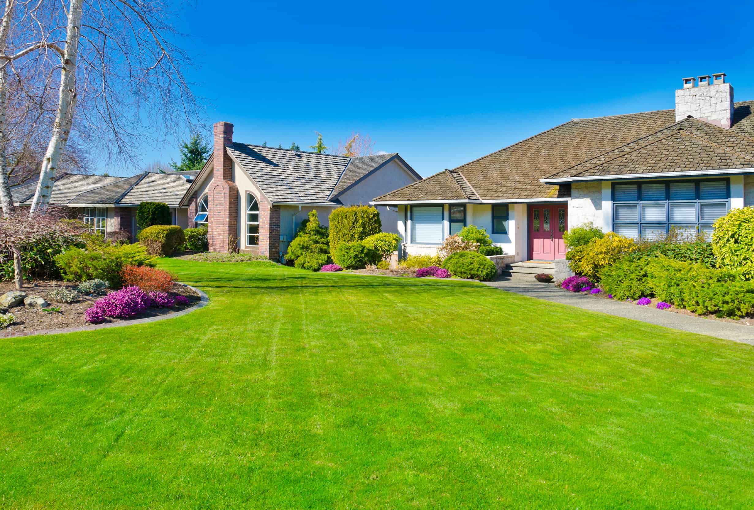 home with green lawn trees and Flowers