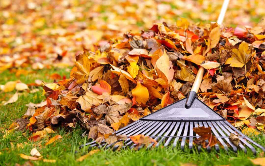 Fall Cleanups: A Must for a Pristine Landscape
