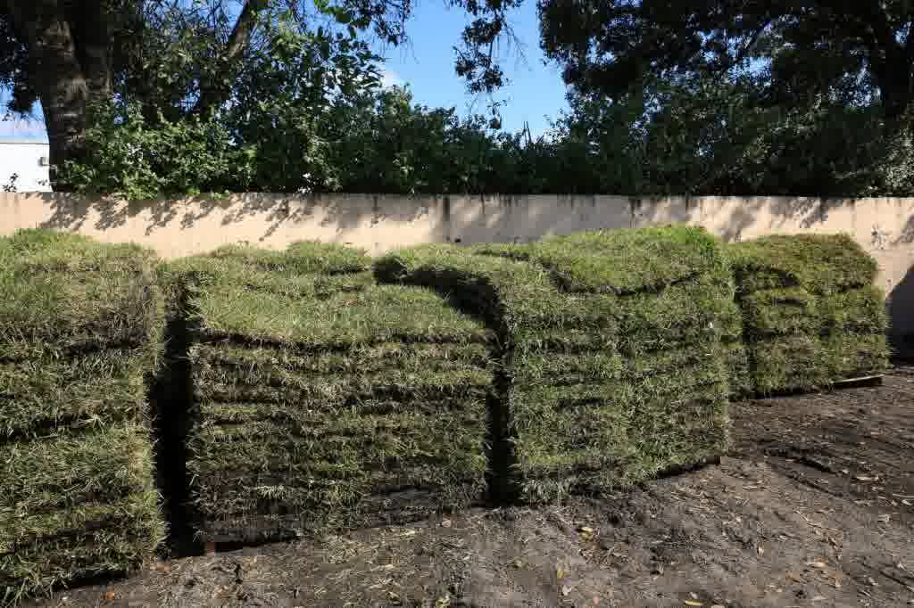 Stacks of fresh sod ready to be installed.